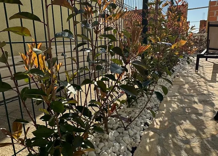Bokun Sunny * Omiš